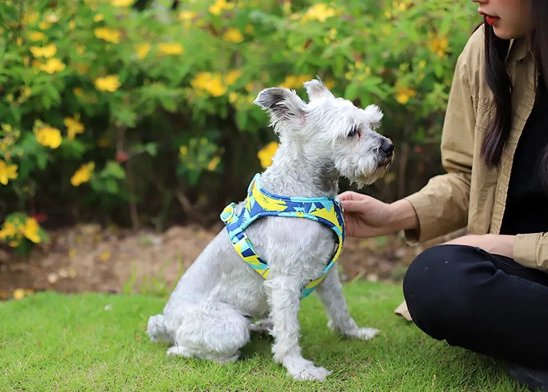 Adjustable Mesh Vest Harness for Dogs & Cats