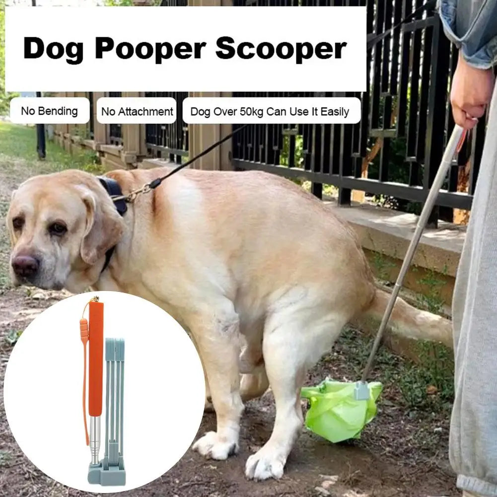 Long-Handle Stainless Steel Pooper Scooper for Dogs & Cats