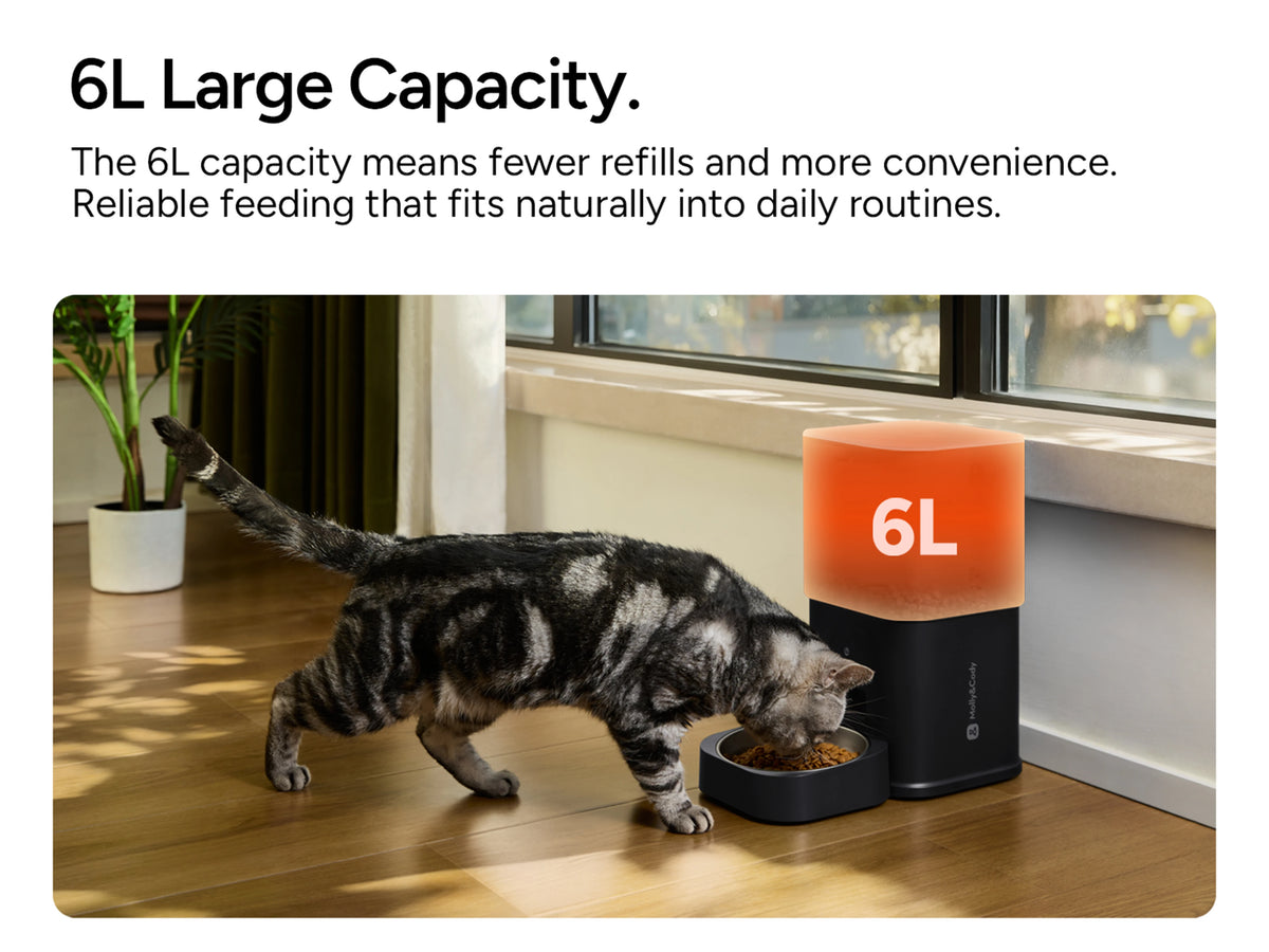 Automatic Pet Feeder with Camera