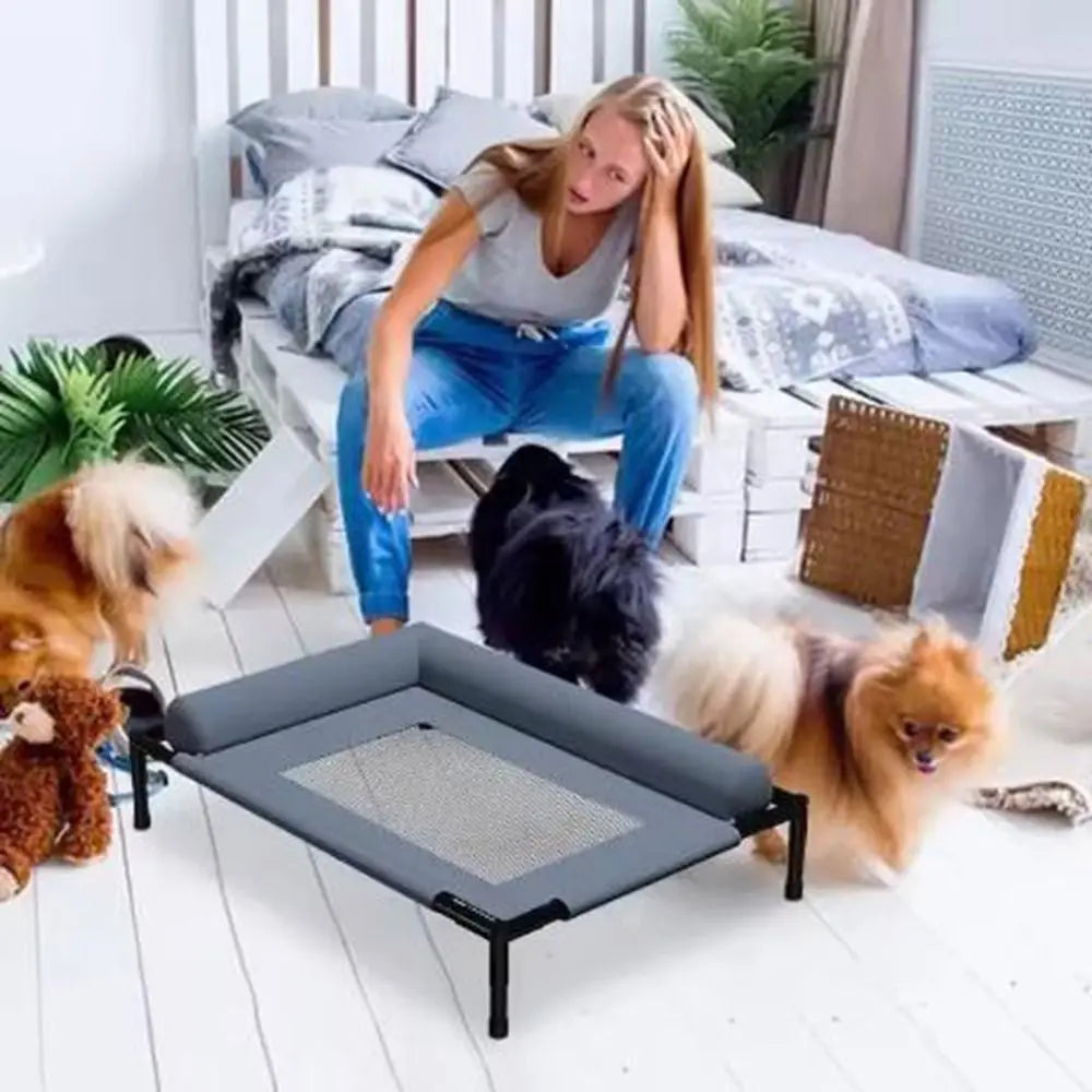 Elevated Mesh Dog Bed with Pillow — Breathable Raised Outdoor & Indoor Pet Bed