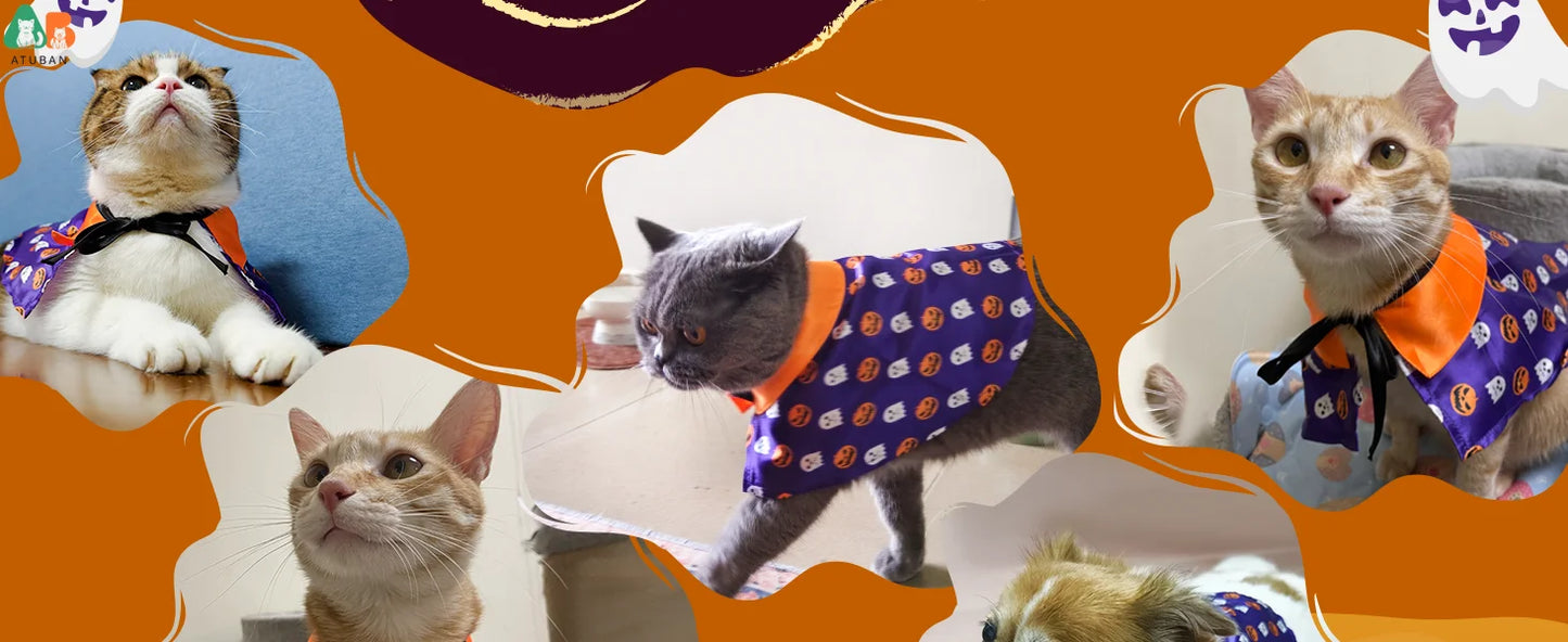 Déguisement d'Halloween pour Chat - Cape de Sorcier et Tenue de Sorcière pour Chats et Petits Chiens