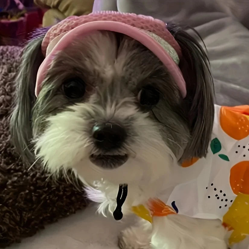 Chapeau de protection solaire pour animaux de compagnie avec nœud - Chapeau réglable et élégant pour chiens et chats