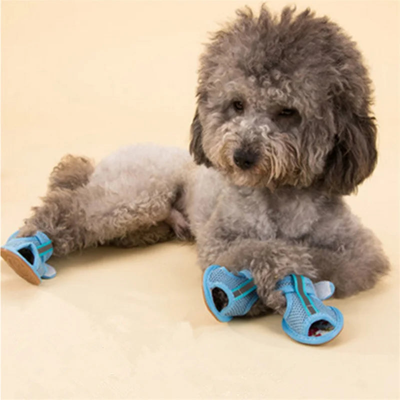 Mesh Sandal Shoes for Small Dogs & Cats — Set of 4