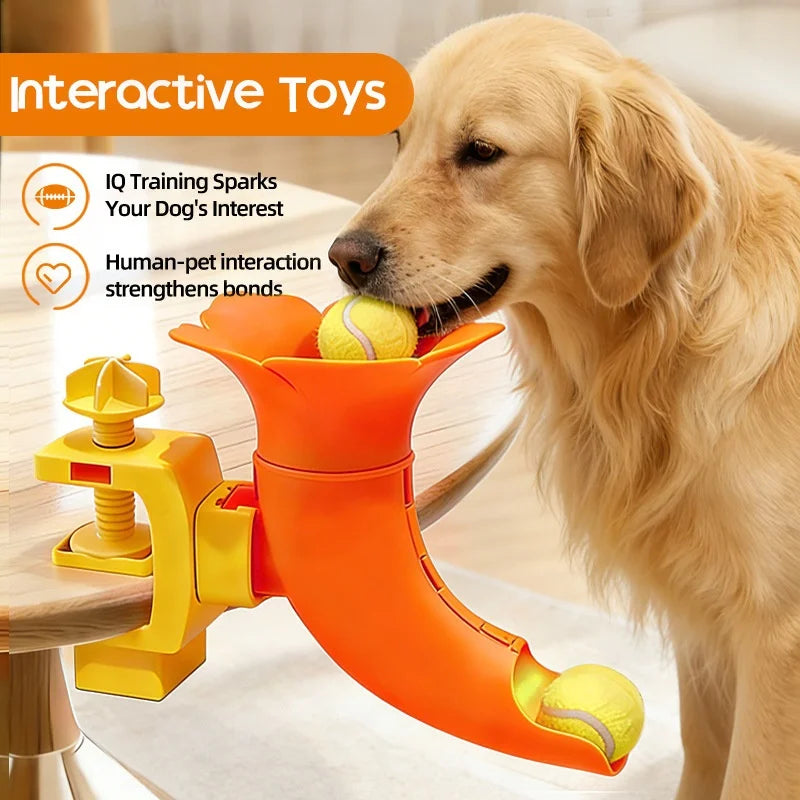 Clamp-Mounted Dog Ball Trainer
