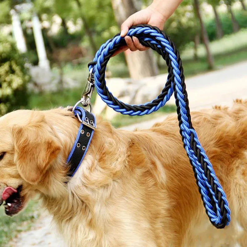 Heavy Duty Nylon Dog Leash & Collar Set - 130cm