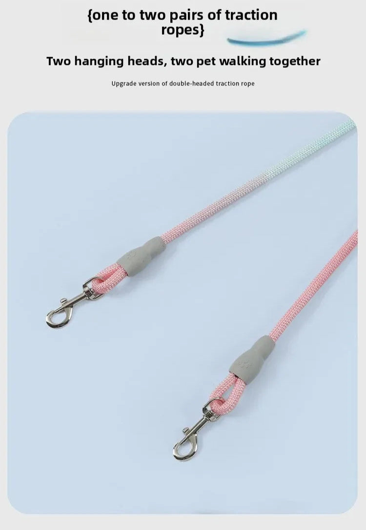 Ensemble complet de collier, harnais et laisse pour chien de qualité supérieure