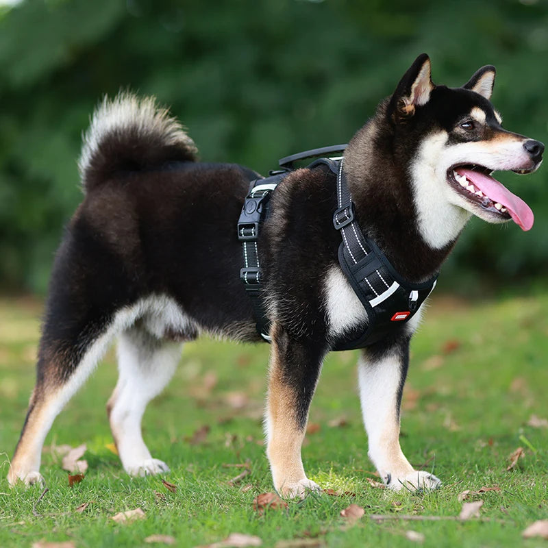 Adjustable Reflective Dog Harness - Safety Vest for Small & Large Dogs