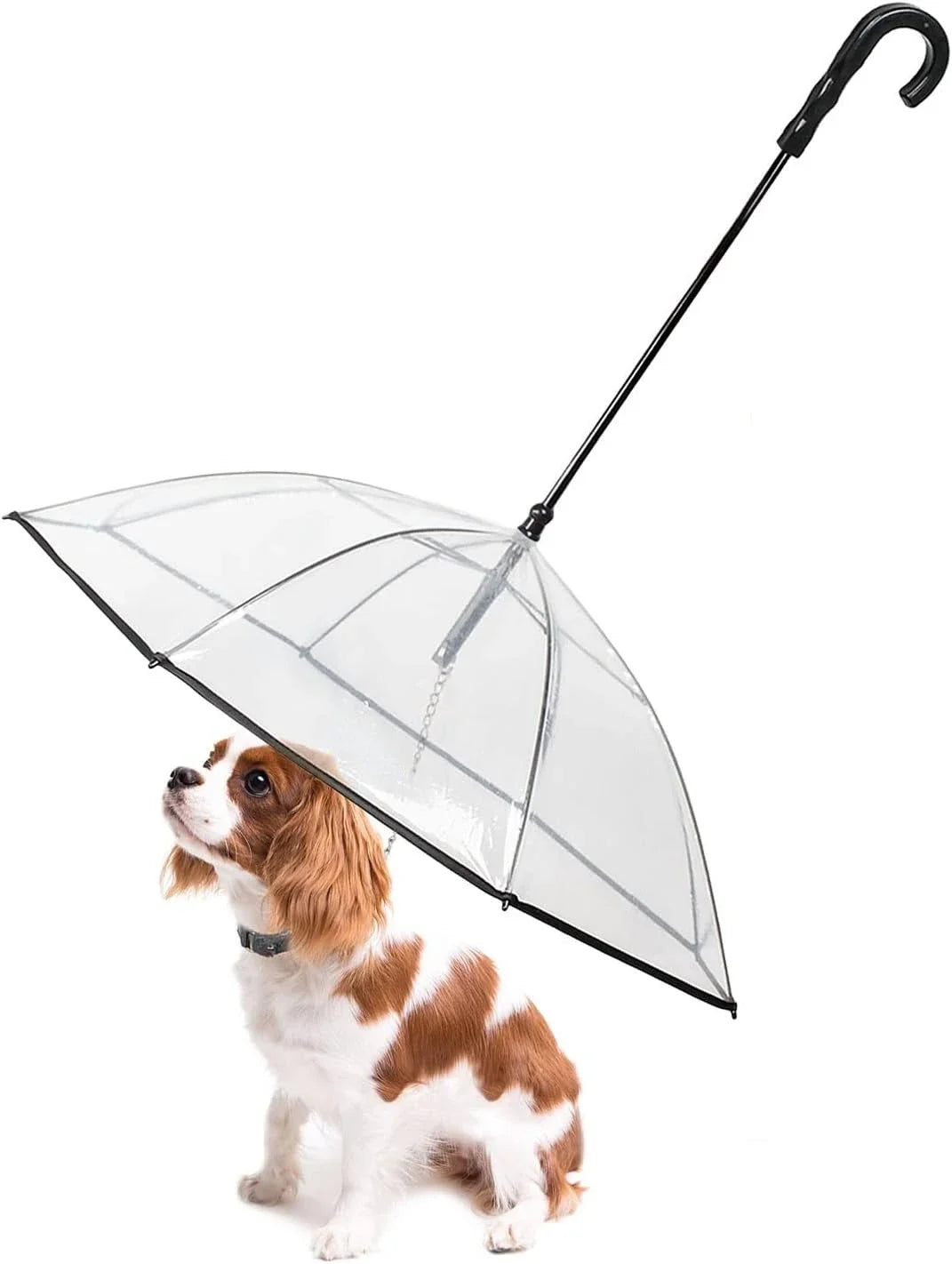 Pet Umbrella with Built-in Leash - Clear Canopy for Small Dogs and Cats