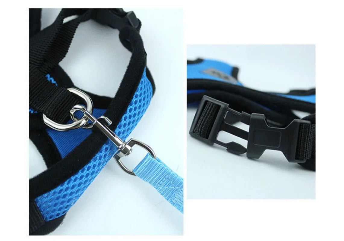 Harnais anti-évasion pour chat et chien avec laisse - Gilet en maille réglable pour la promenade