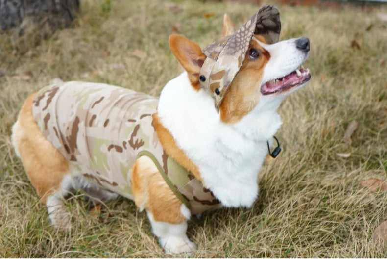 Mesh Cooling Vest & Sun Hat Set for Dogs