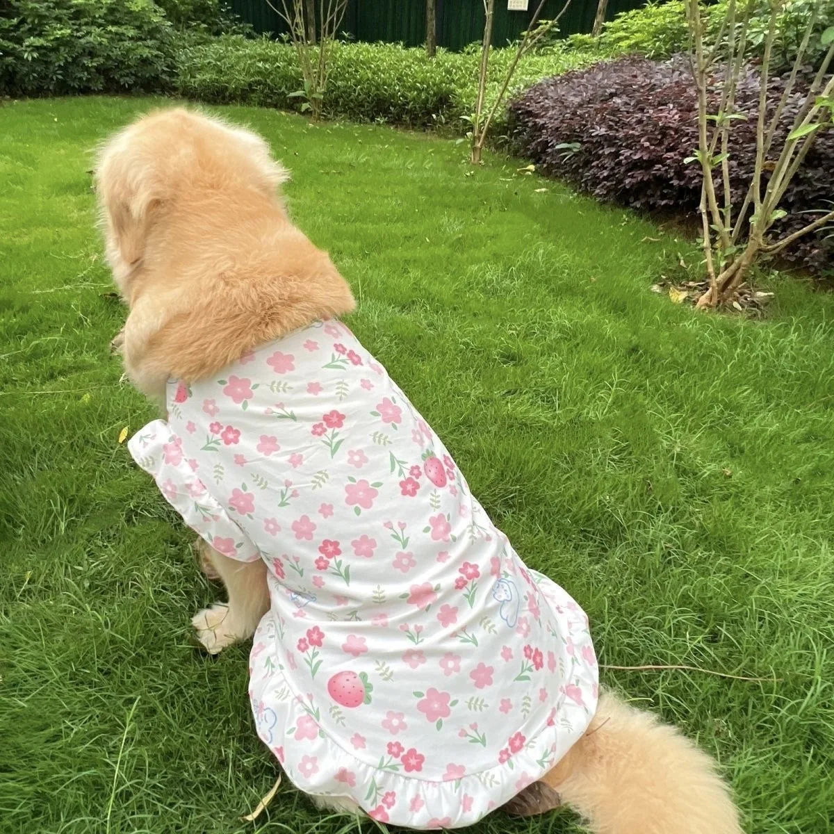 Robe de princesse rafraîchissante et gilet d'été pour chiens de taille moyenne et grande