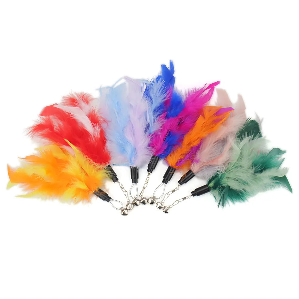 Bright Colour Feather Cat Teaser Replacement Pack (5 Pcs Random Mix)
