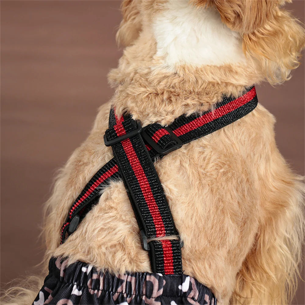 Reusable Washable Dog Sanitary Shorts for Female Dogs