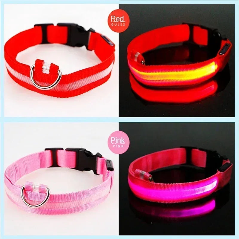 Collier lumineux LED pour chien - Réglable, clignotant, rechargeable - Collier lumineux pour la sécurité nocturne - Harnais lumineux anti-perte pour chien