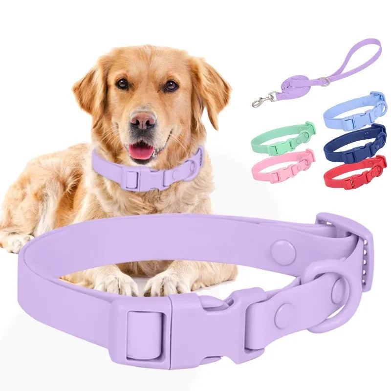 Collier et Harnais en Silicone pour Chat - Accessoires Souples pour Chaton et Petits Animaux