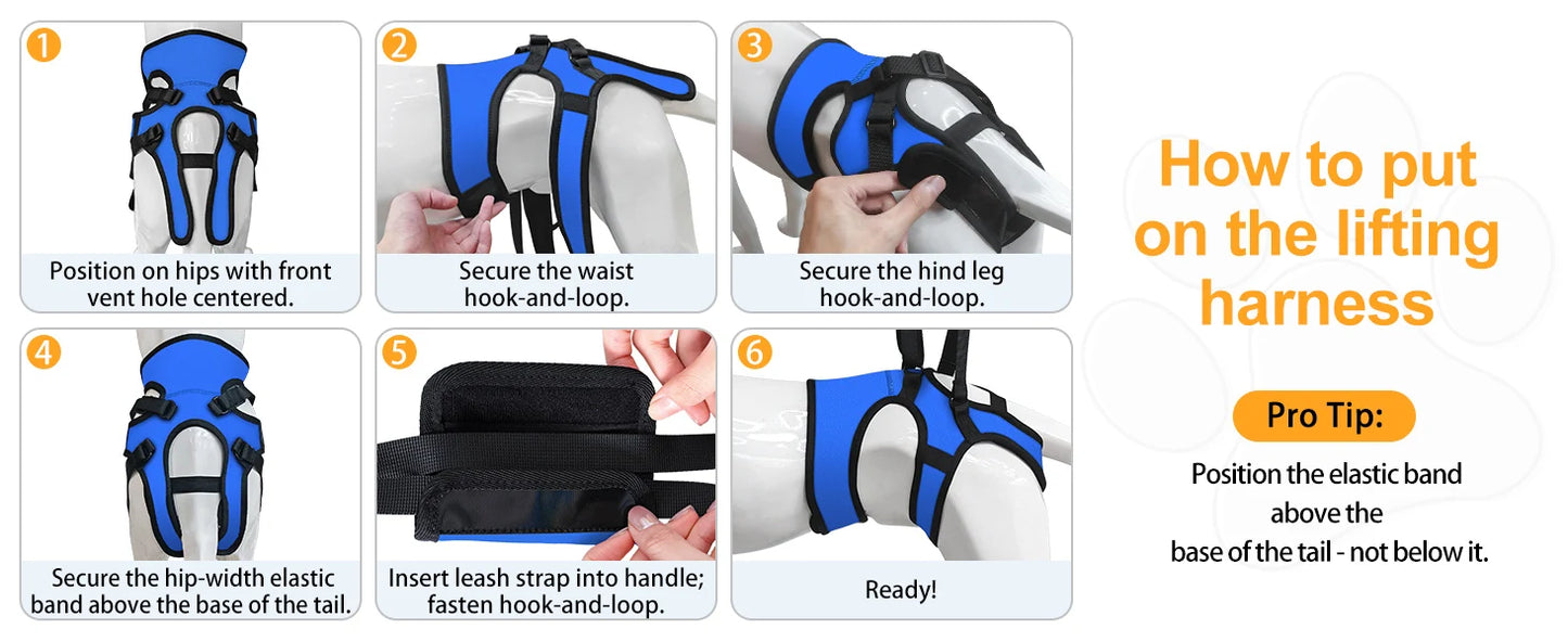 Hind Leg Support Dog Sling for Large & Senior Dogs | Adjustable Mobility Aid