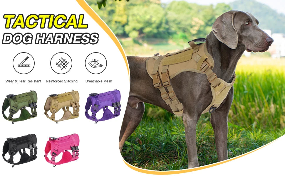 Harnais Tactique pour Chien avec Sangle de Poitrine et Boucle de Renfort