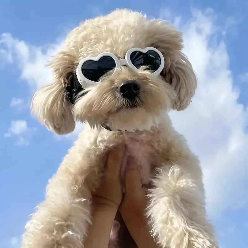 Lunettes de soleil de protection UV pour animaux de compagnie - Protection élégante des yeux pour chiens et chats