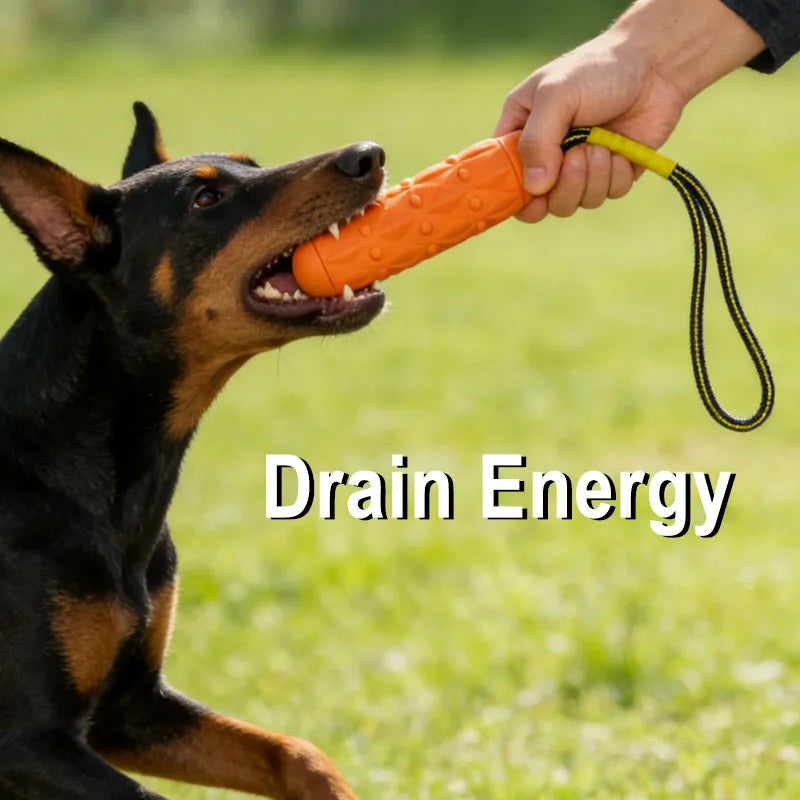 EVA Chew Stick with Rope – Tough Dog Toy