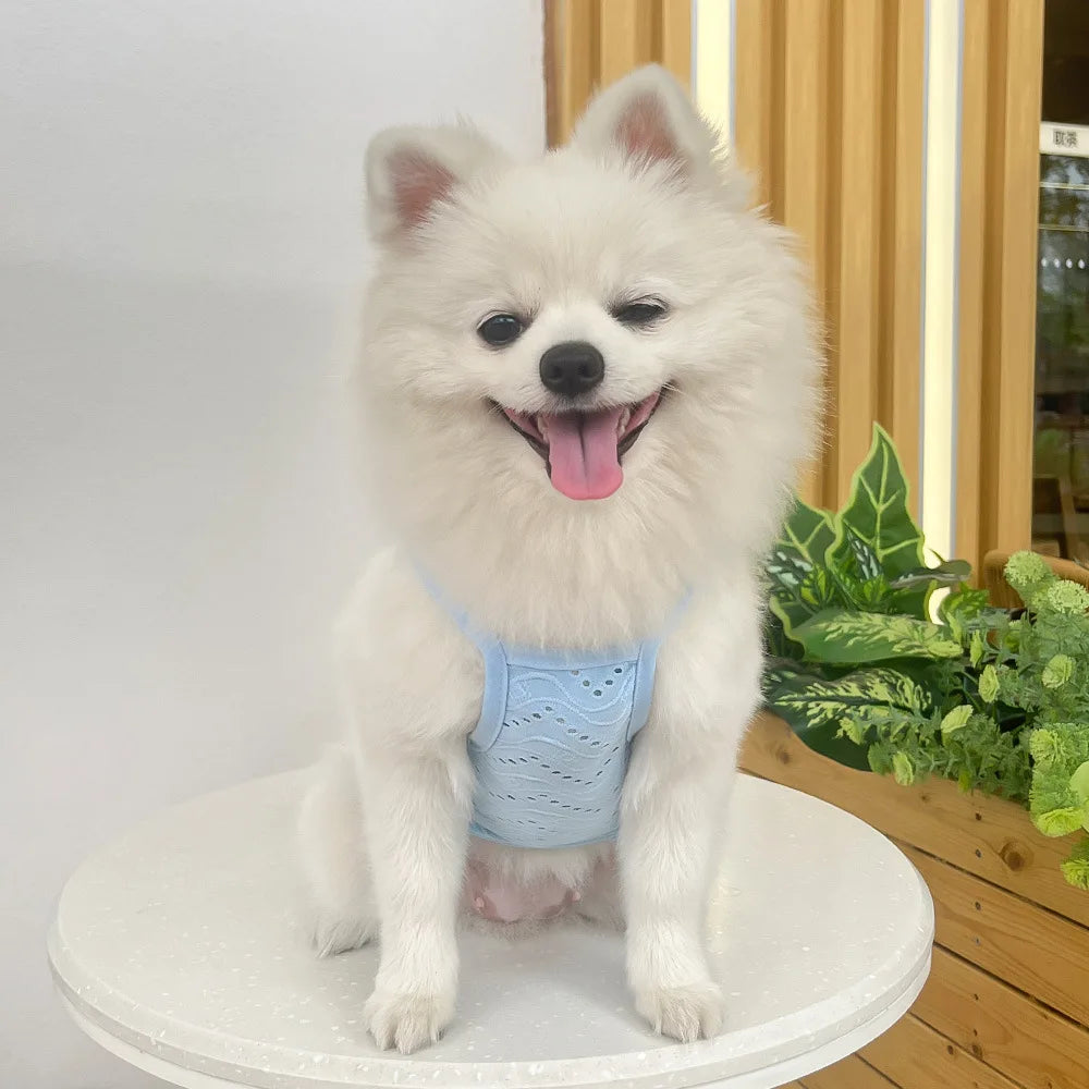 Breathable Dog Vest for Spring and Summer