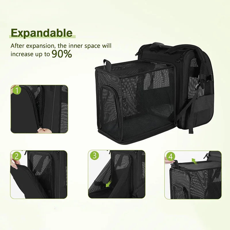 Sac à dos de transport extensible pour chat avec housse pare-soleil et maille respirante