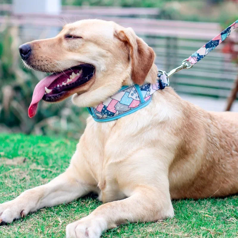 Reflective Breathable Mesh Dog Collar with Double D-Ring – All Sizes