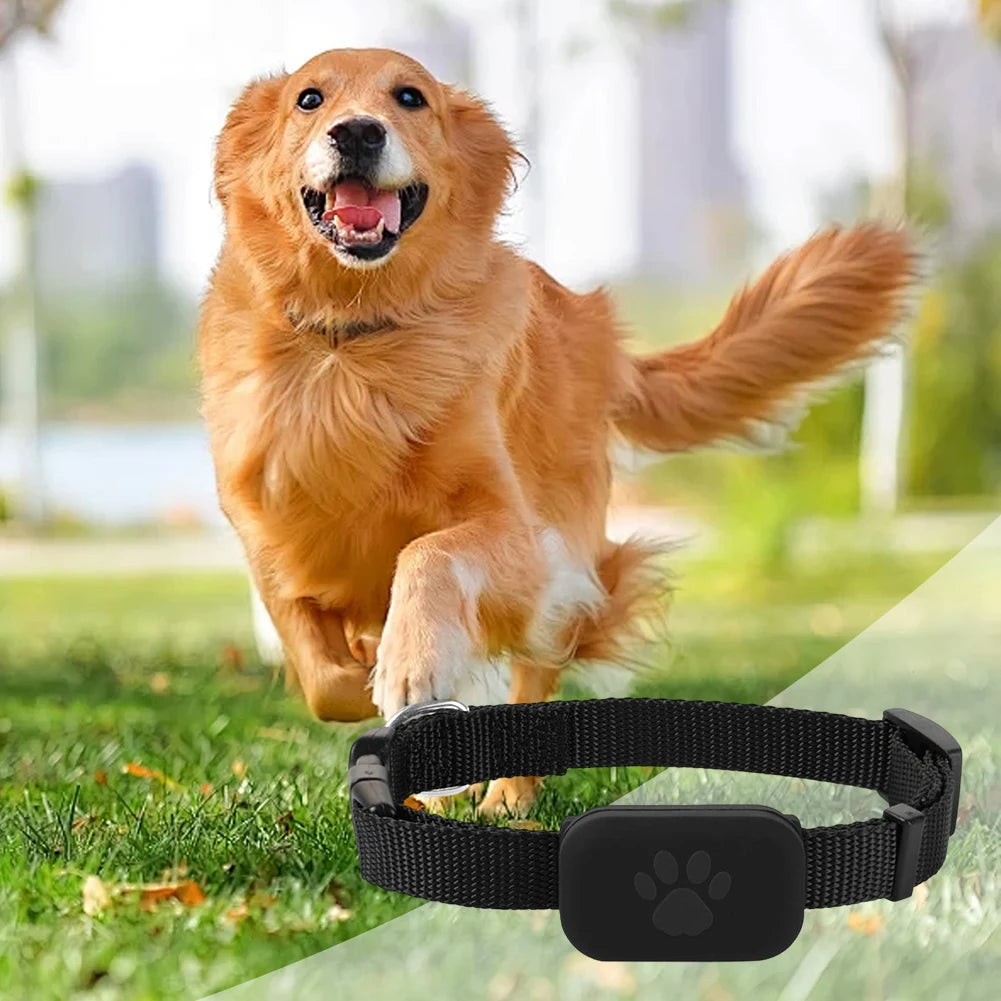 Smart Pet Collar Tracker for Outdoor Cats & Dogs — 6–12 Month Battery