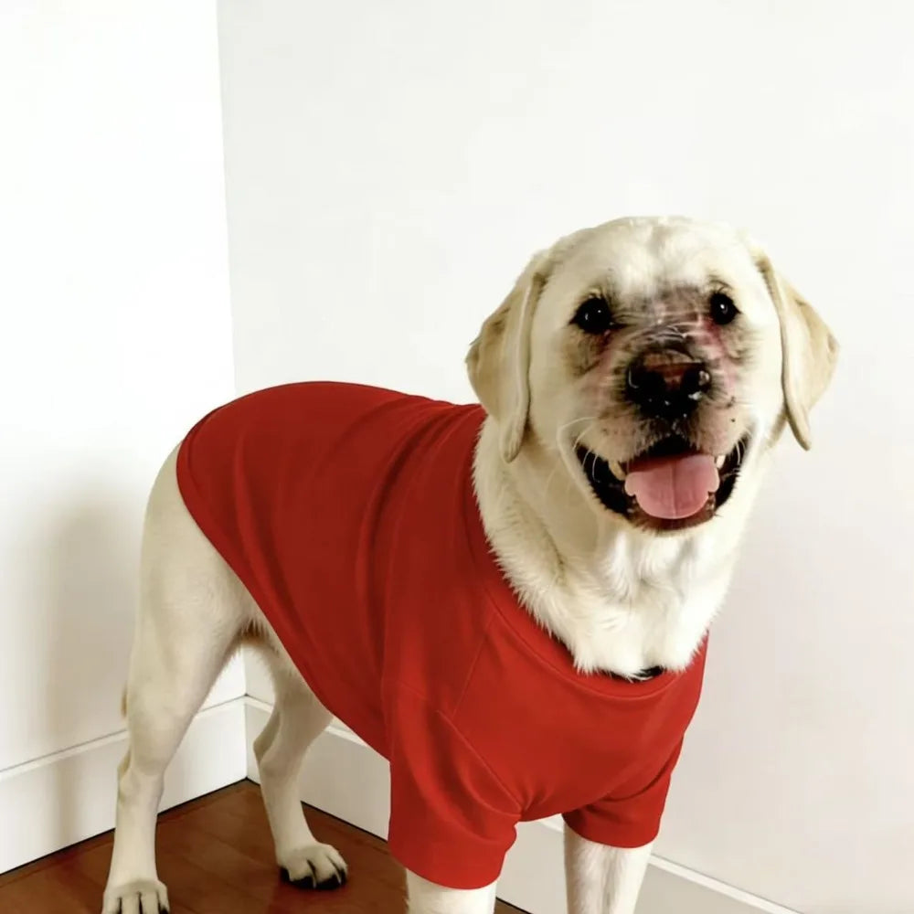 Soft Breathable Dog Cooling Vest Shirt | Casual Summer Top for Medium & Large Dogs