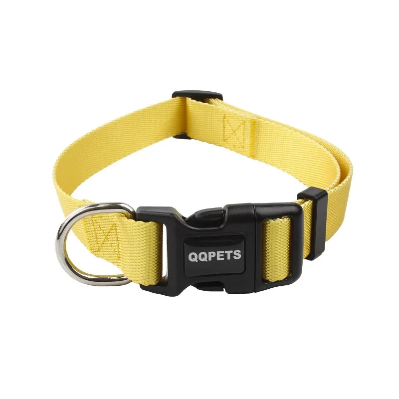 Ensemble laisse et collier réglables en nylon pour chiens - Pour petits et grands chiens