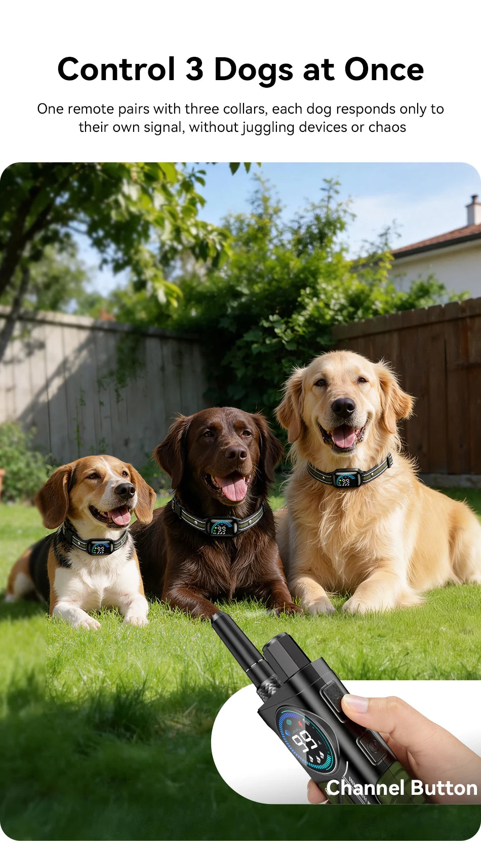 Collier de dressage pour chien avec télécommande 1000m, vibrations et anti-aboiements