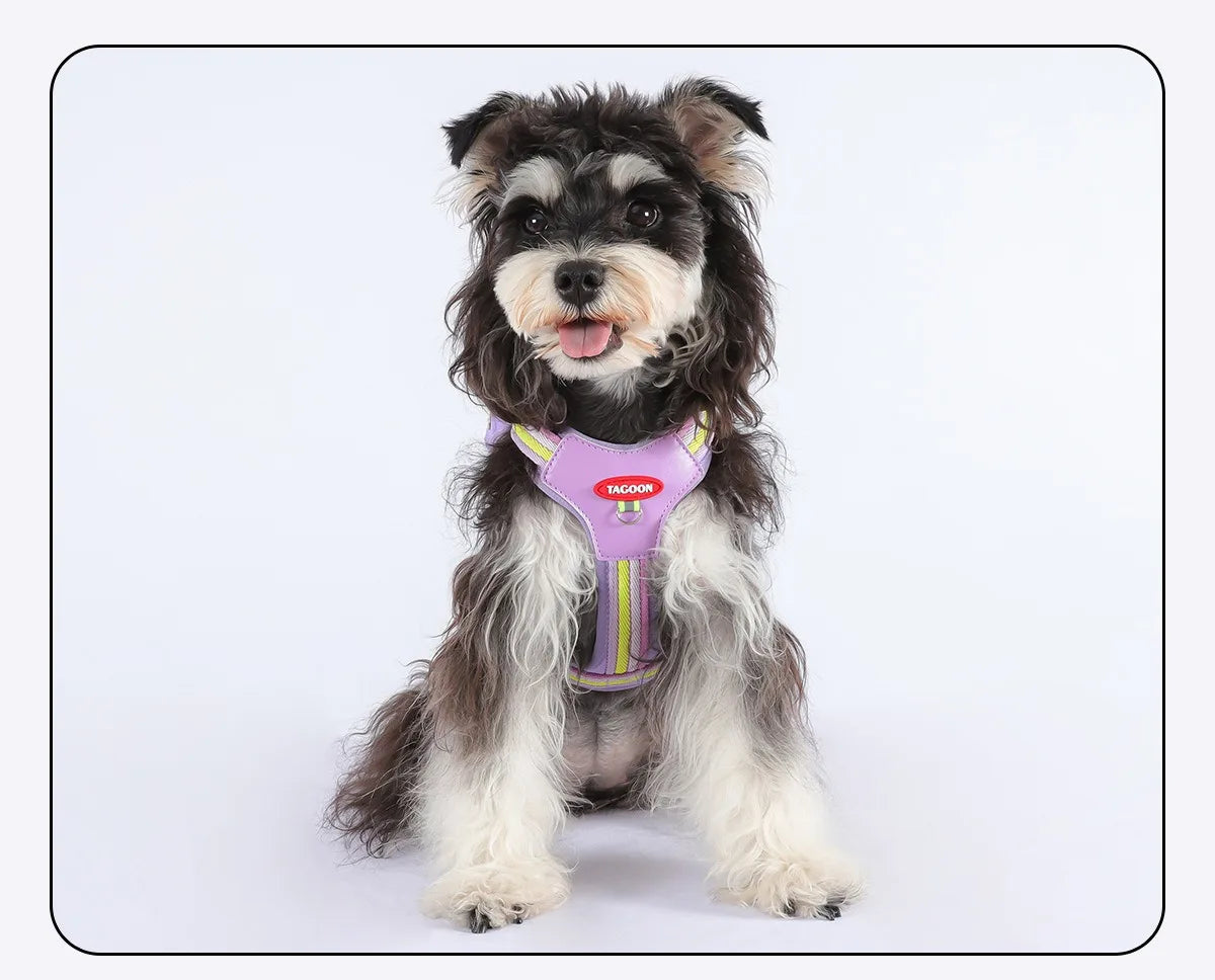 Dog Harness & Lead Set – Padded Vest Harness with Reflective Strips for Small & Medium Dogs