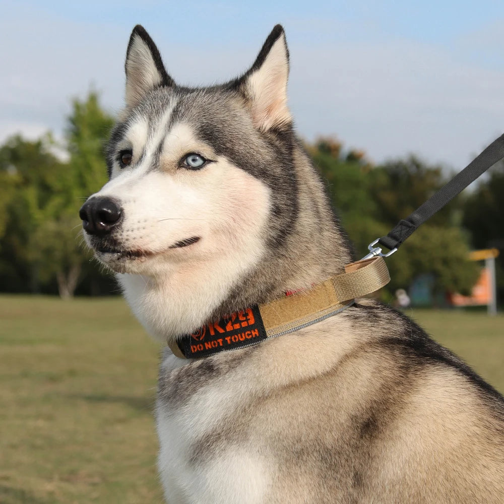 Padded Reflective Tactical Dog Collar for Medium & Large Dogs