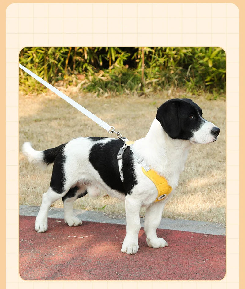 X-Shape Escape-Proof Dog Harness Vest with Leash