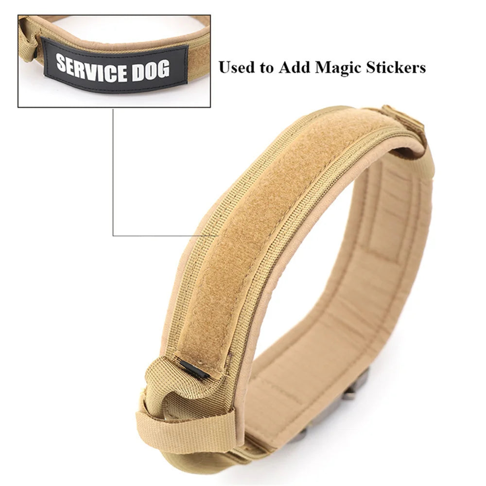Durable Nylon Dog Collar & Leash Set for Large Dogs
