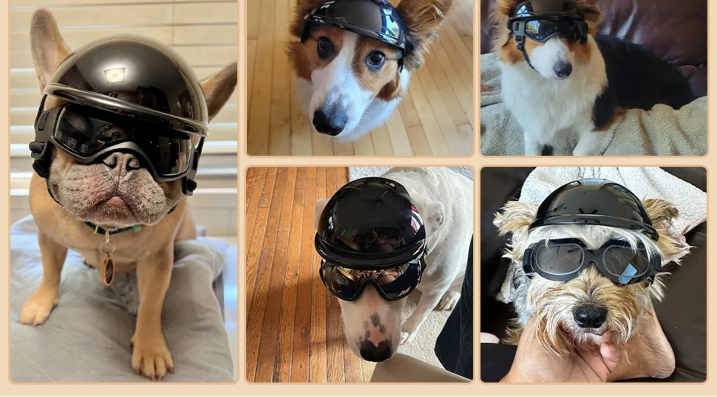 Ensemble lunettes et casque pour chien - Lunettes de soleil de protection UV pour grands chiens
