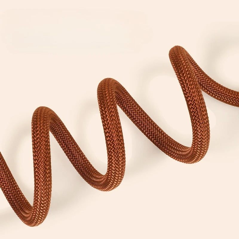 Adjustable Loop Collar Training Leash for Dogs