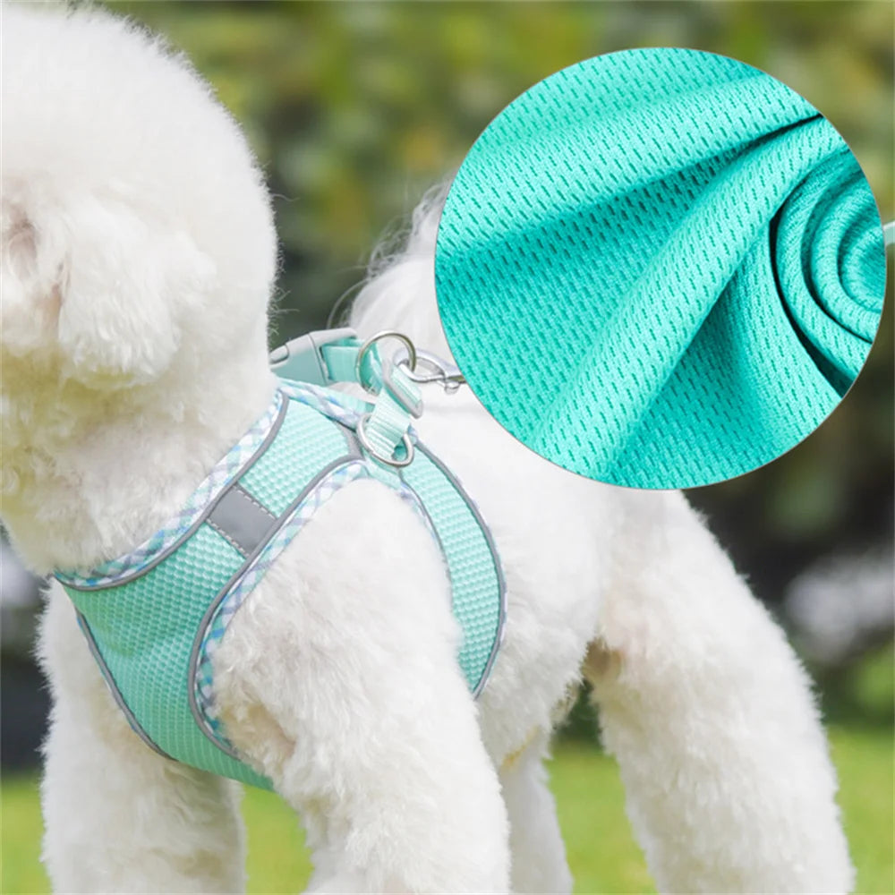 Reflective Mesh Harness & Leash Set for Cats & Small Dogs