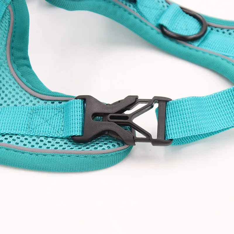 Reflective Mesh Cat & Dog Harness with Leash Set