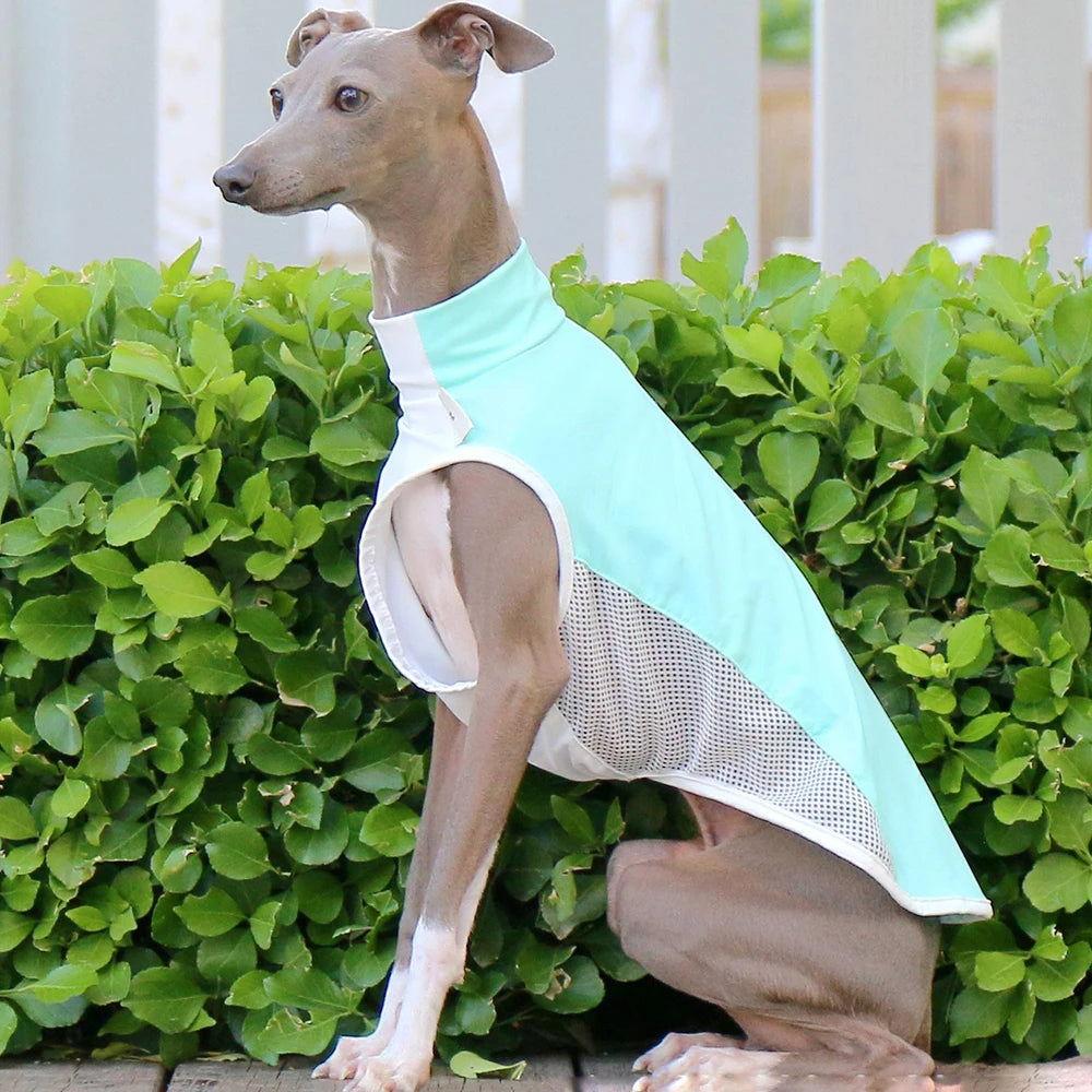 Breathable Summer Cooling Vest for Dogs & Cats
