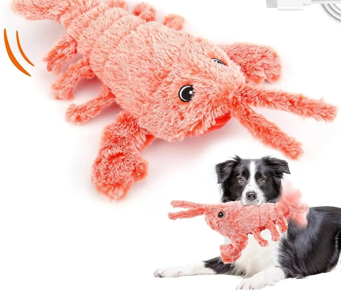Jouet interactif pour chat en forme de homard doux rechargeable par USB avec couineur