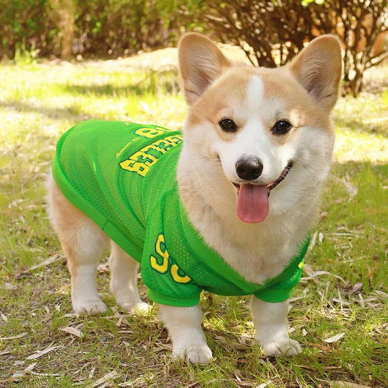 LA Style Dog Cooling Vest | Summer Breathable Shirt for Small to Large Dogs