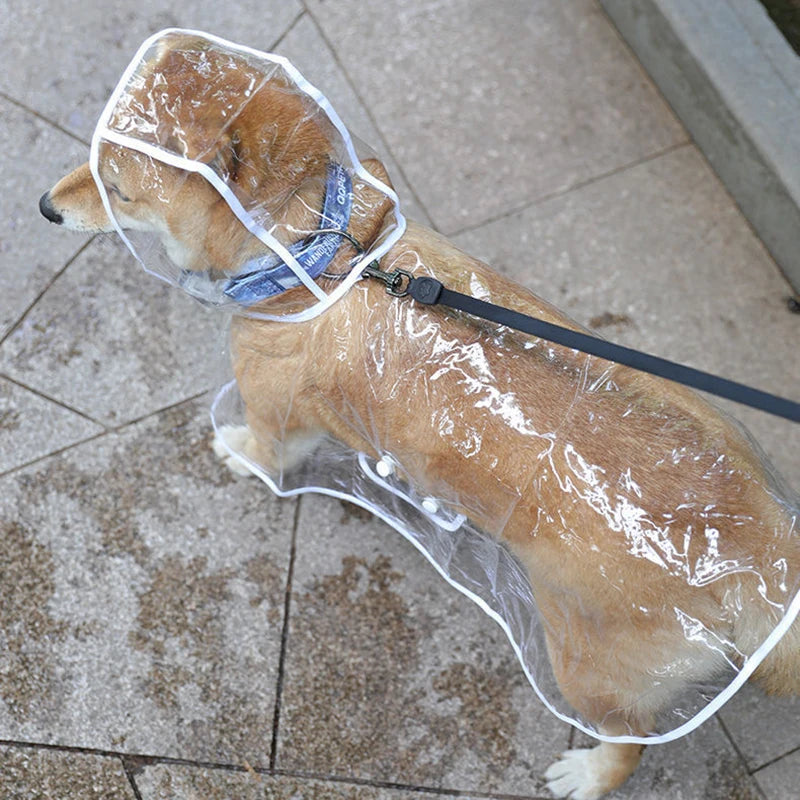 Transparent Waterproof Raincoat for Small & Medium Dogs