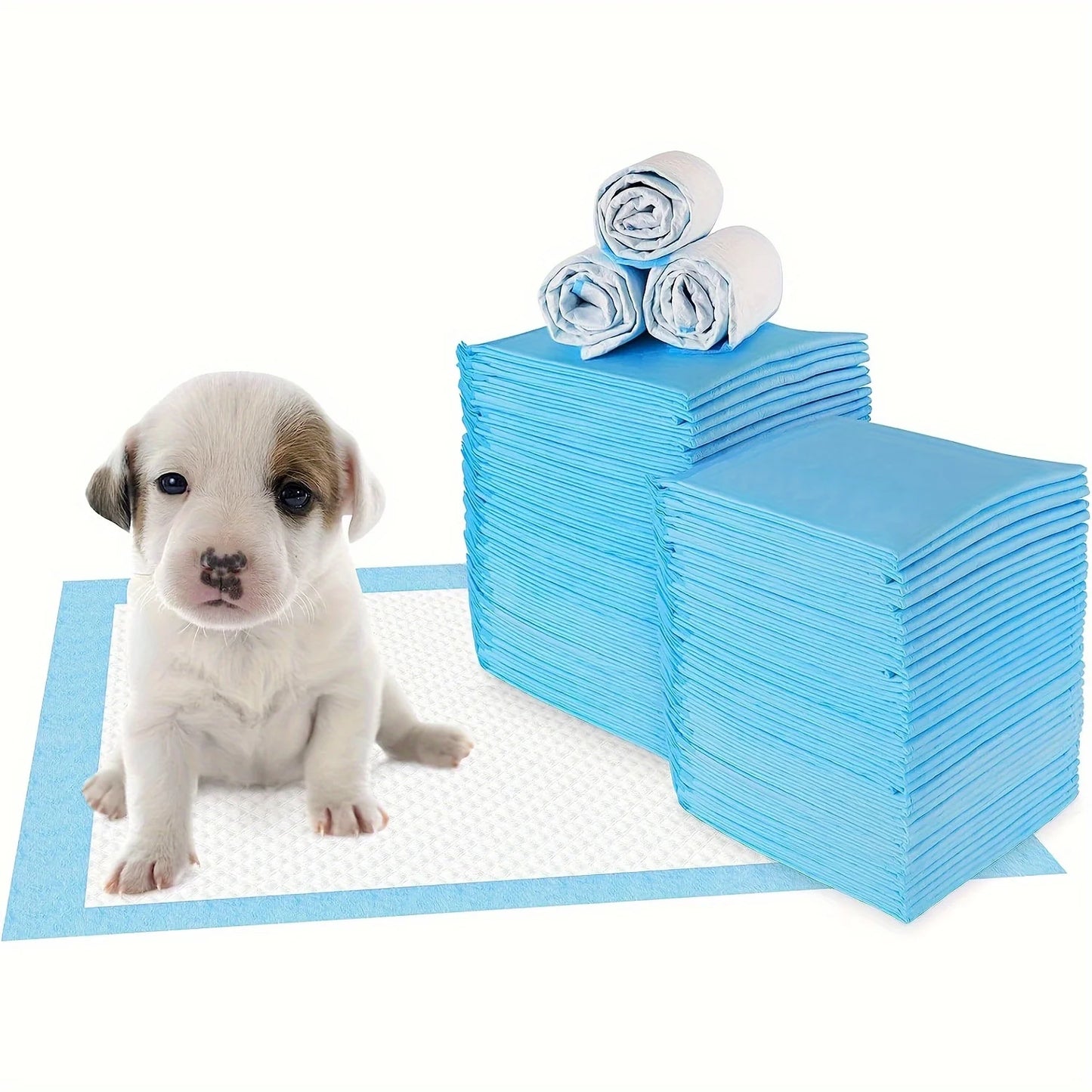 Alèses de propreté super absorbantes pour chiens - Épaisses (pack de 100/200)