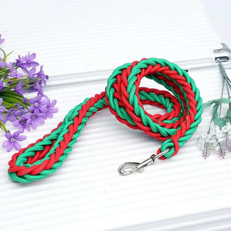 Adjustable Nylon Dog Leash & Collar Set for Medium to Large Dogs