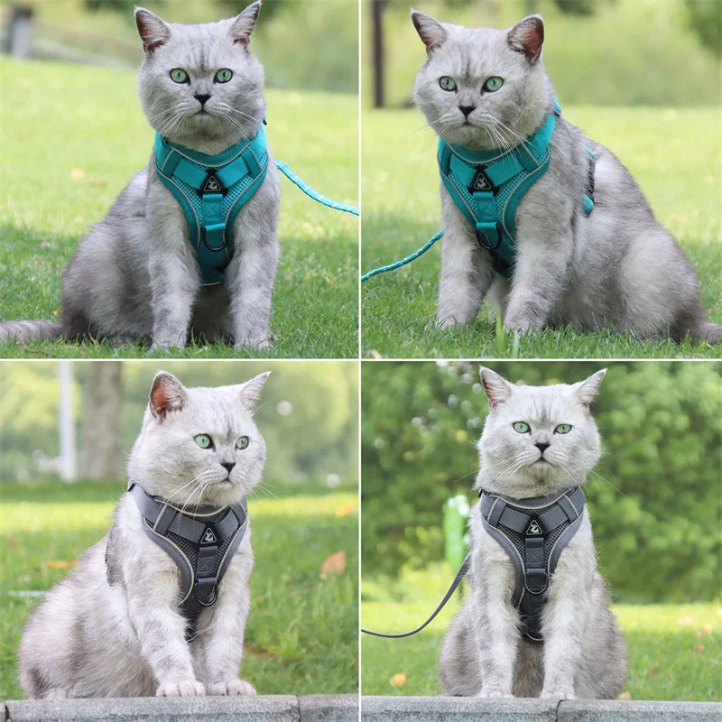 Reflective Mesh Cat & Dog Harness with Leash Set