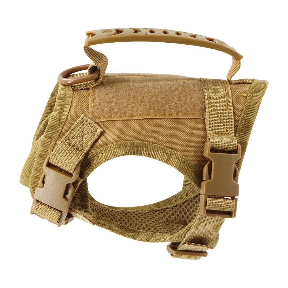 Ensemble harnais et laisse doux pour chat avec collier