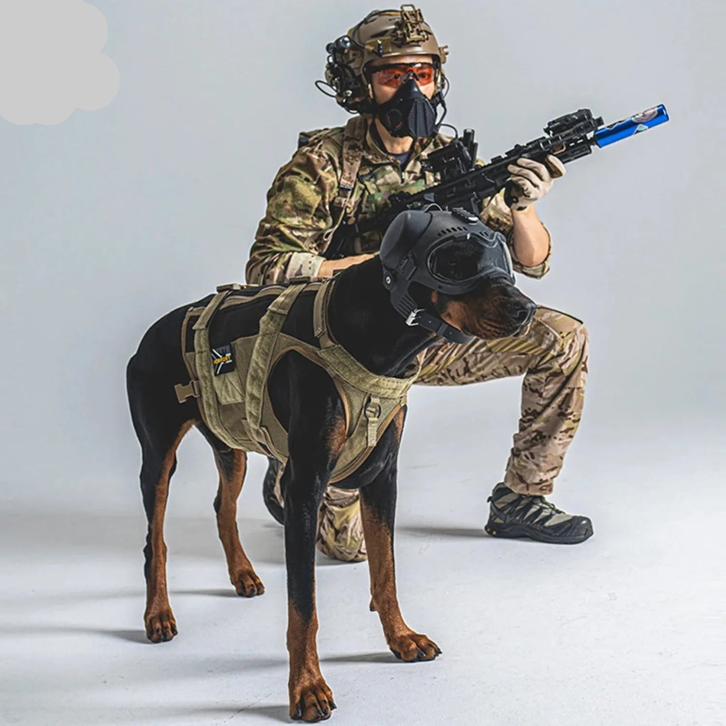 2-in-1 Tactical Dog Helmet with Detachable Goggles for Small & Medium Dogs