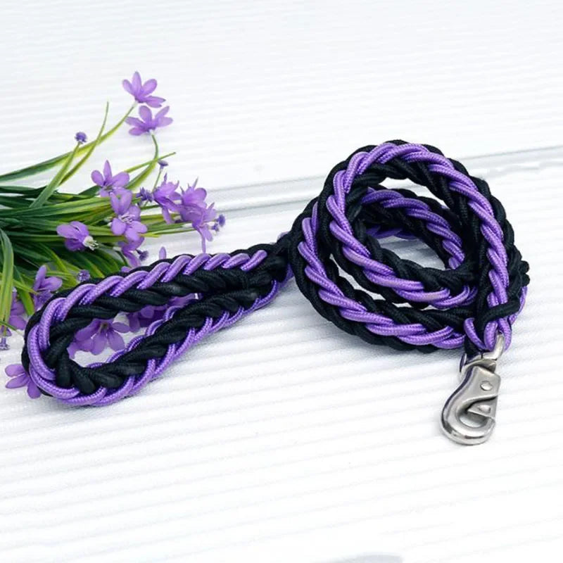 Heavy Duty Nylon Dog Leash & Collar Set - 130cm