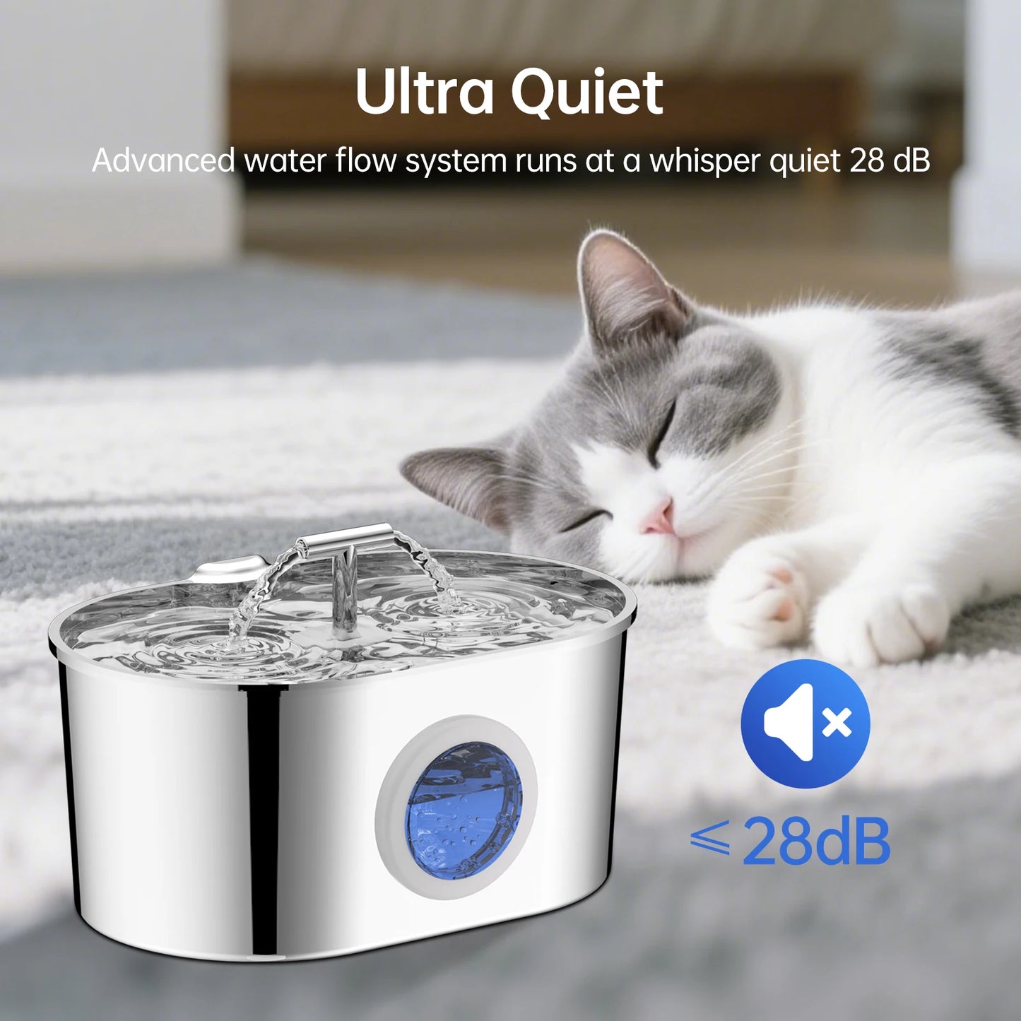 Fontaine à eau pour animaux de compagnie en acier inoxydable de 2,2 L – Double sortie avec fenêtre de niveau d'eau