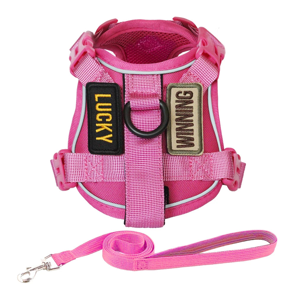 Escape-Proof Cat & Small Dog Harness Set